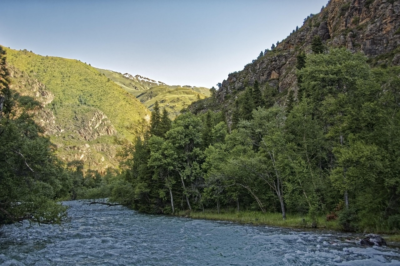 киргизстан, chychkan река, tschytschkan река, chychkan gorge, tschytschkan дефиле, поток, каньон, вода, планинска река, пейзаж, пустиня, небето, облаци, горски, природата, дървета, централна азия