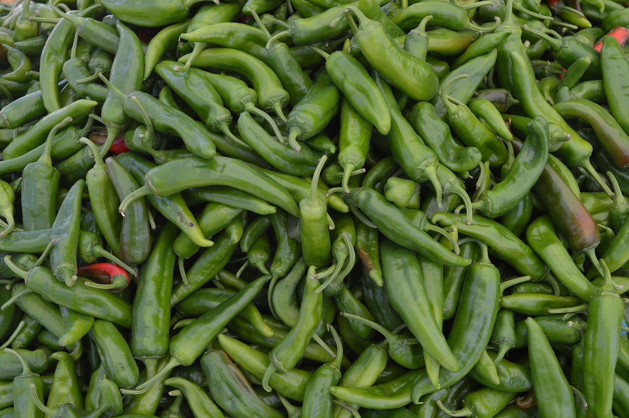 beans, green, food, vegetables, legumes, vegetable, green vegetables