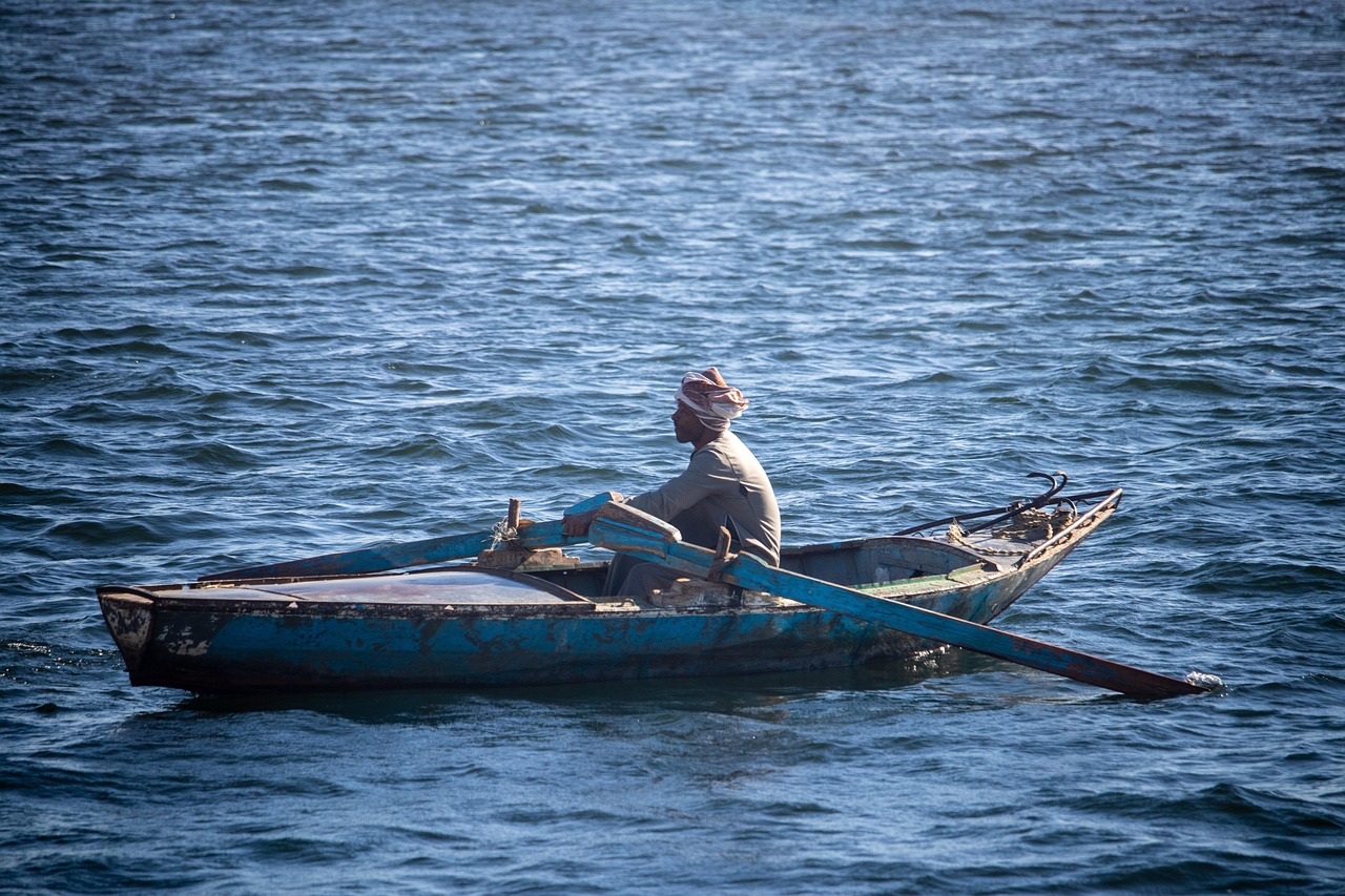 nilen, båt, rodd, man, transport, lokal, egypten, resa, flod, fartyg, natur, båtar, egyptisk
