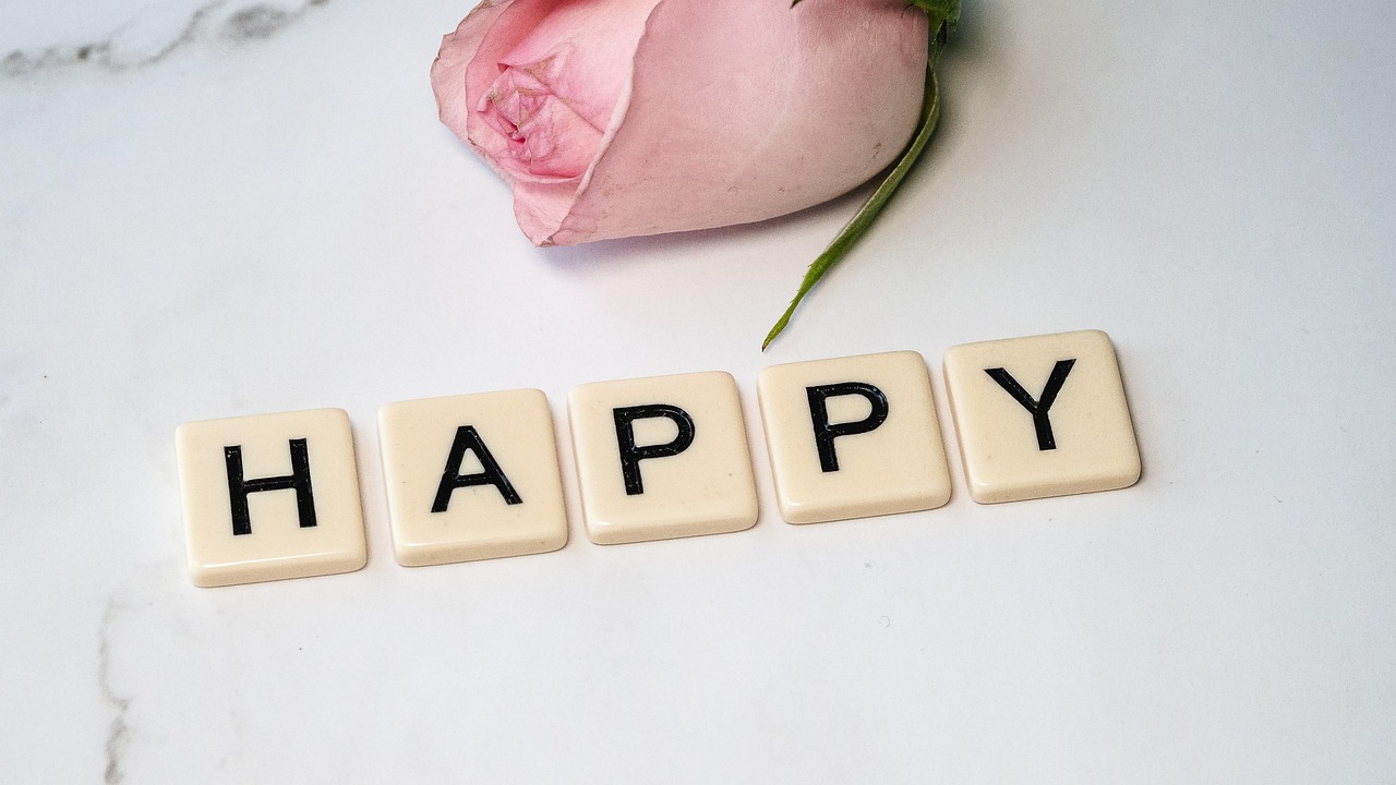 happy, rose, rose flower, romance, being happy