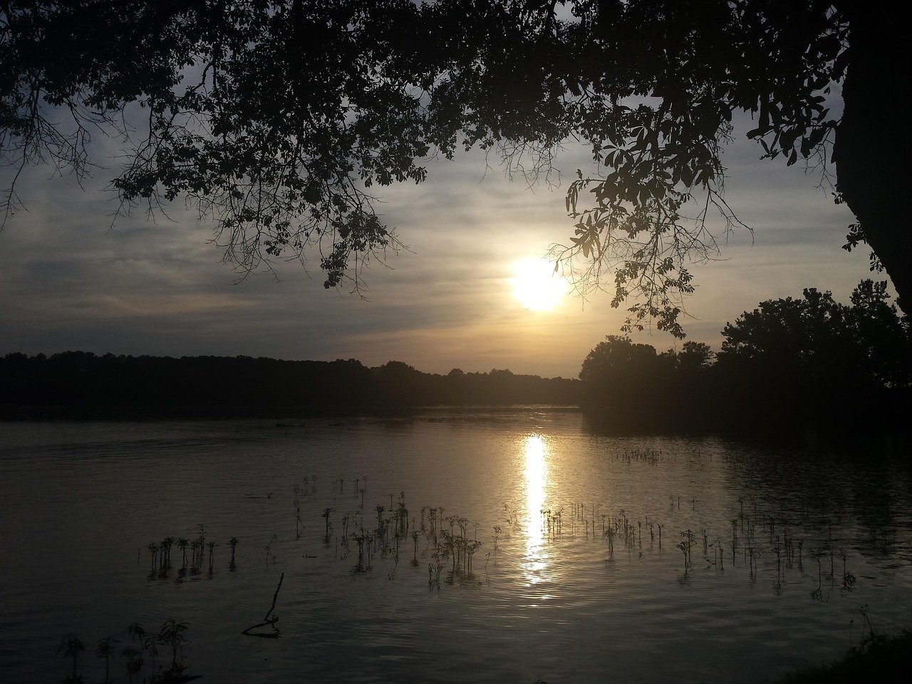 river, nature, sunset, coosa river, water, sun, sky, alabama, gadsden