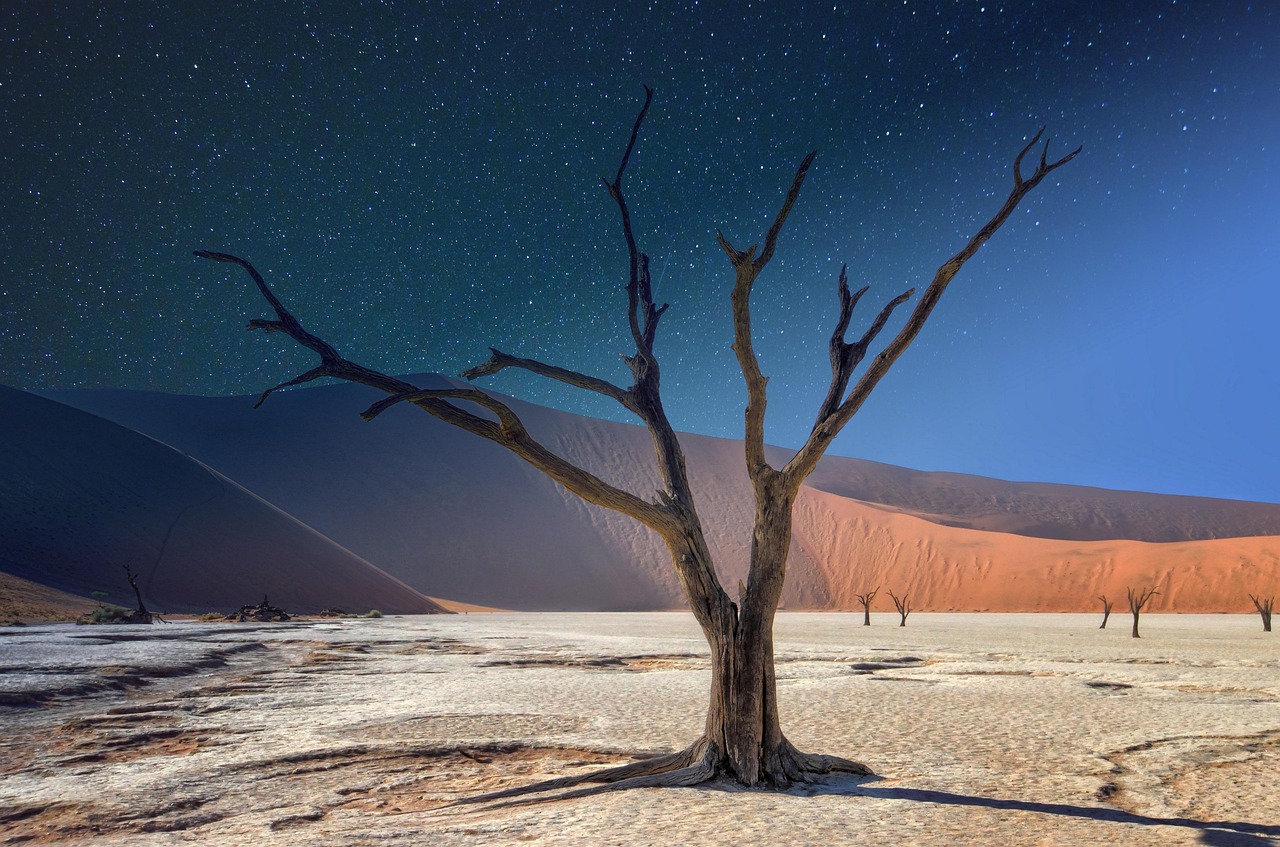 namibia, deadvlei, panorama, acacia, paysage, afrique, arbre, dune, sable, namibie, désert, nature, sec, voyage, jour, nuit, afrique, afrique, afrique, afrique, afrique, namibie, namibie, désert, voyage, voyage