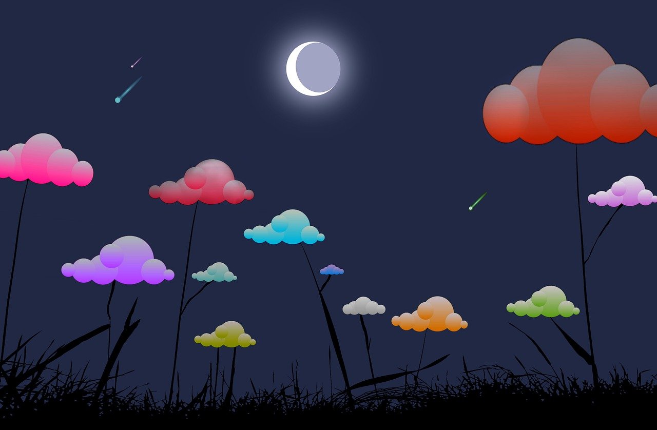 flower, cloud, moon, moonlight, shooting, star, grass, silhouette, light, colorful, crescent, night, nature, shadow, 3d, vector graphic, connectcompetition, moon, moon, moon, moonlight, moonlight, moonlight, moonlight, moonlight, crescent, crescent, crescent, night, night, nature, shadow, vector graphic