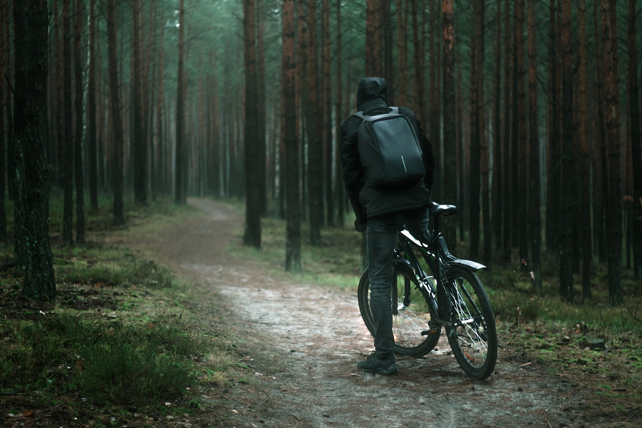 rower, las, kolarstwo, ścieżka, natura, drzewo, jesienią, rowerzysta, drzewa, sportowe, turystyka, lasy, sport, park, zielony, krajobraz, jazda na rowerze, trawa, wiosna, wzgórza, leśna droga, lato, wieś, pogoda, turystyki
