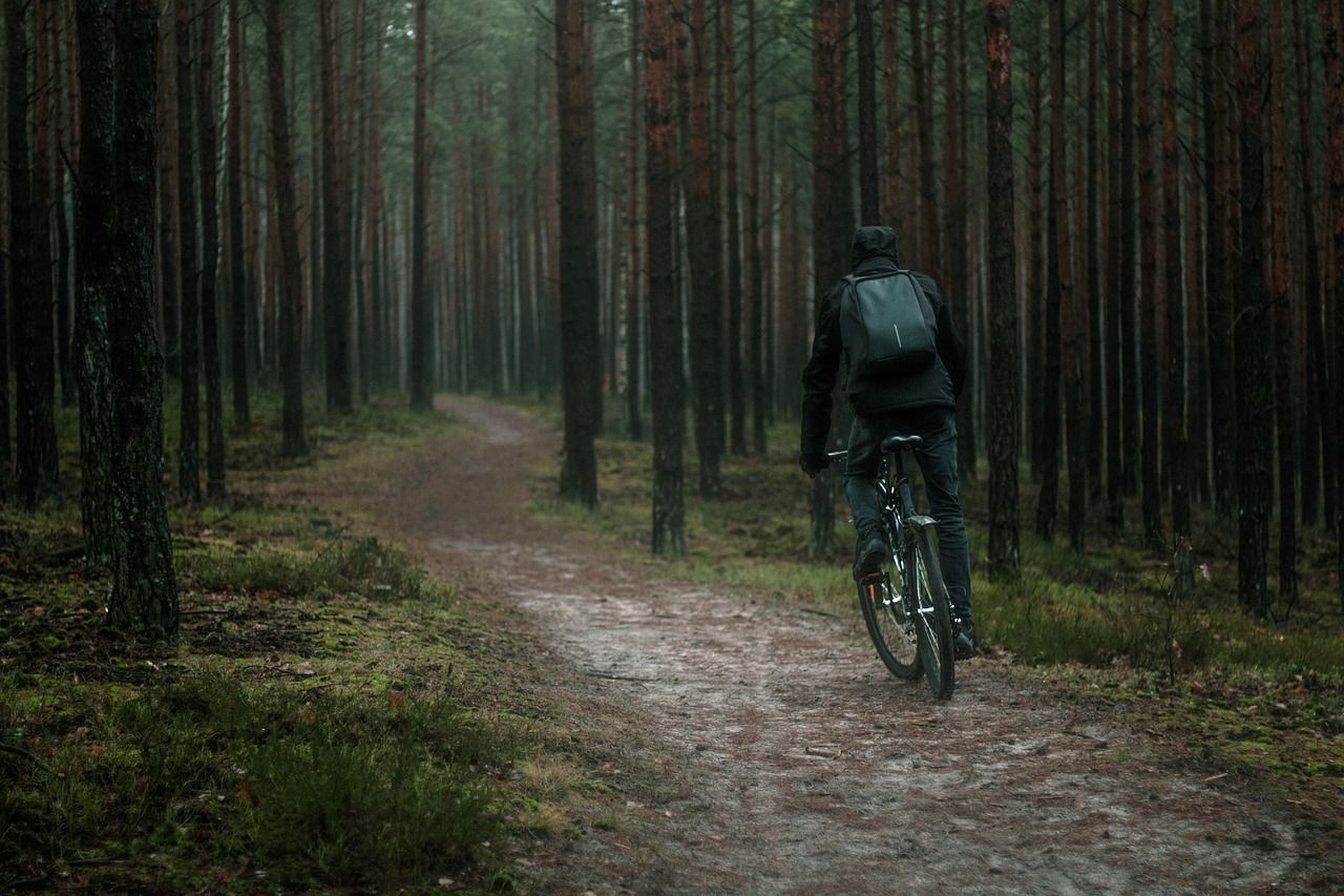 rower, las, kolarstwo, ścieżka, natura, drzewo, jesienią, rowerzysta, drzewa, sportowe, turystyka, lasy, sport, park, zielony, krajobraz, jazda na rowerze, trawa, wiosna, wzgórza, leśna droga, lato, wieś, pogoda, turystyki