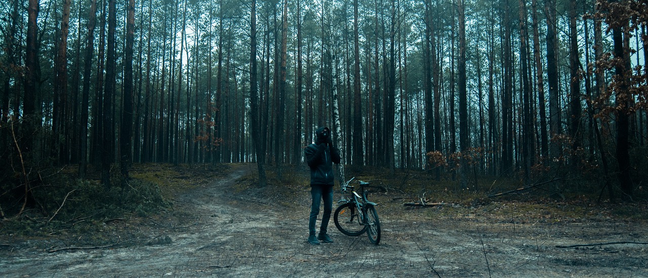 rower, las, kolarstwo, ścieżka, natura, drzewo, jesienią, rowerzysta, drzewa, sportowe, turystyka, lasy, sport, park, zielony, krajobraz, jazda na rowerze, góry, trawa, wiosna, wzgórza, leśna droga, lato, wieś