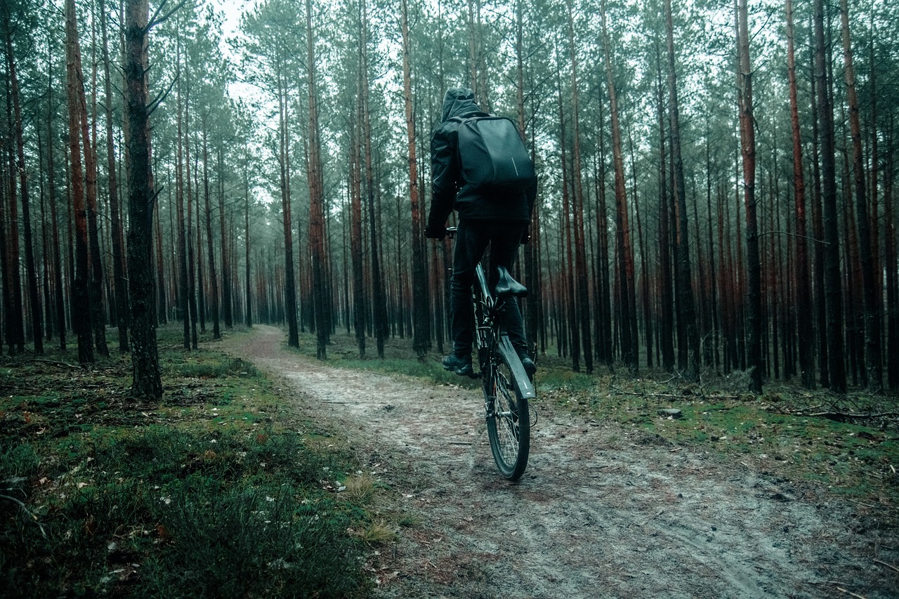 stójka, rower, las, kolarstwo, ścieżka, natura, drzewo, jesienią, rowerzysta, drzewa, sportowe, turystyka, lasy, sport, park, zielony, krajobraz, jazda na rowerze, trawa, wiosna, wzgórza, leśna droga, lato, wieś, pogoda