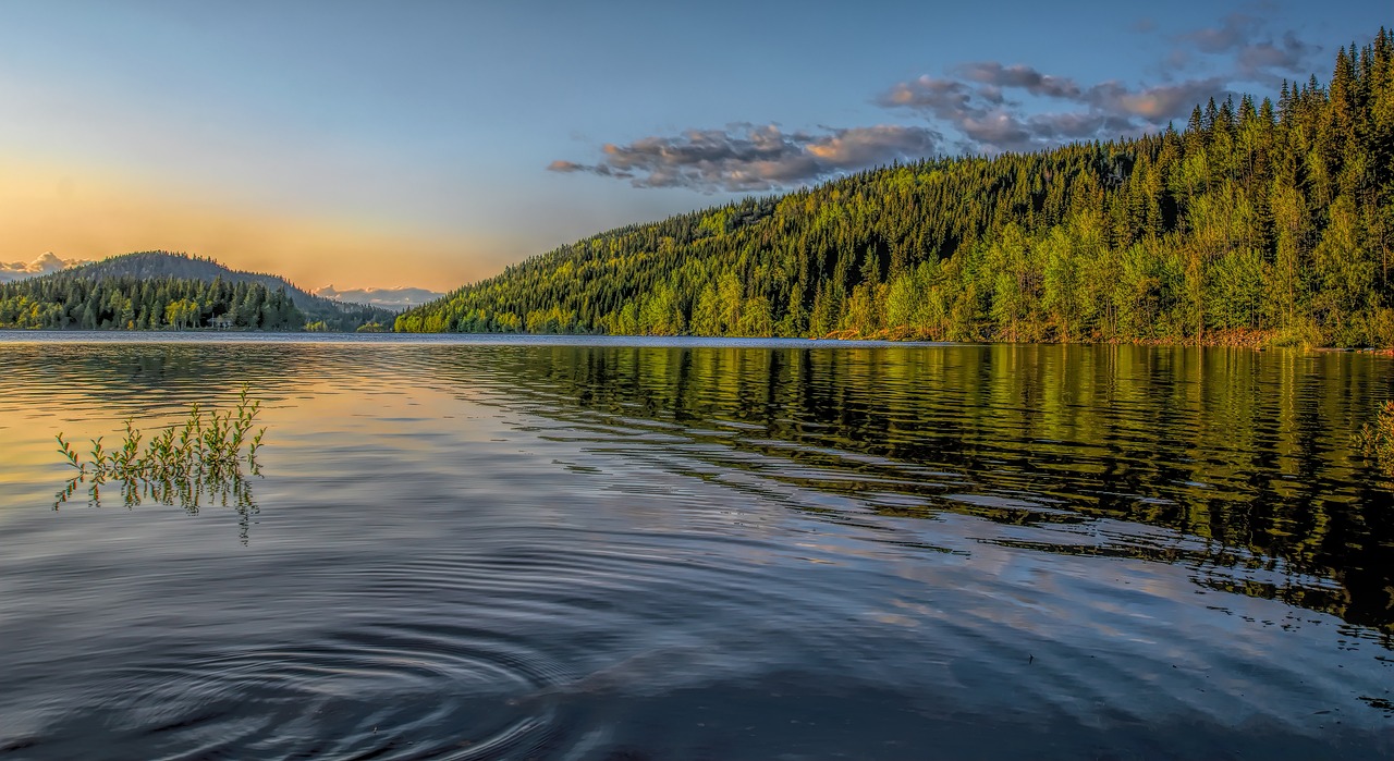 hajern, vann, fiske, lake, sunset, sky, water, landscape, nature, reflection, scenery, evening, blue, sun, summer, mood, blue sky, vestfold, hof, norway