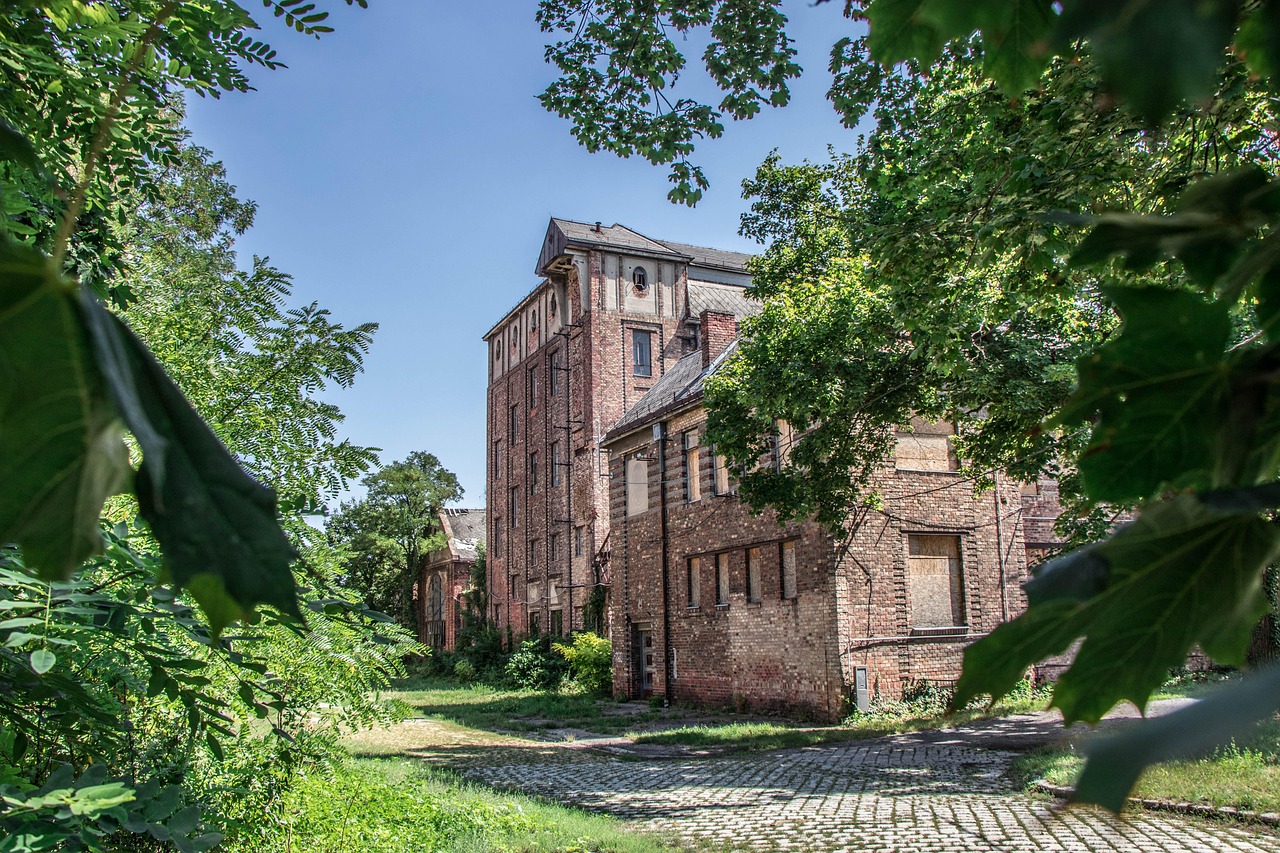 továrna, opuštěný, ztracené místo, sklad, budova, vypršela, minulý, tovární budova, pomíjivost, průmysl, stromy, pforphoto, příroda, průmyslový závod, starý, nemocného, zchátralý, rozpad, produkce