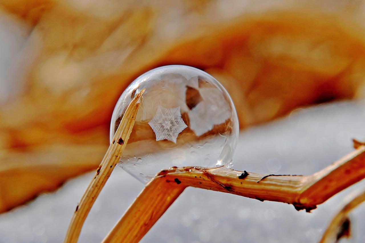 soap bubble, frost, ice crystals, bullet, bubble, freeze, frost bubble, wintry, ice bubble, spherical shape, ice flowers, cold