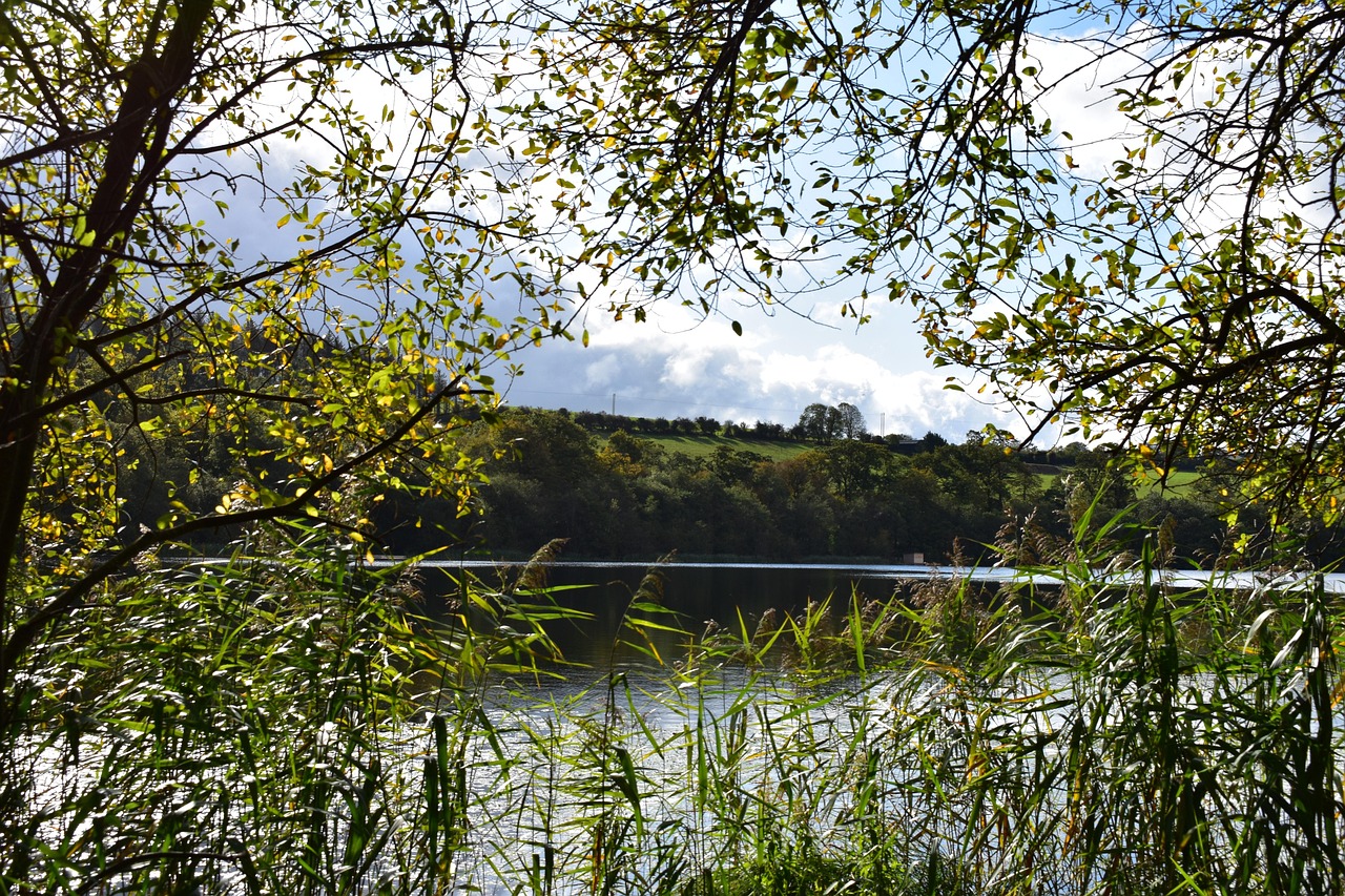 natur, nature, ireland, landscape, frühling, travel, sea, holiday