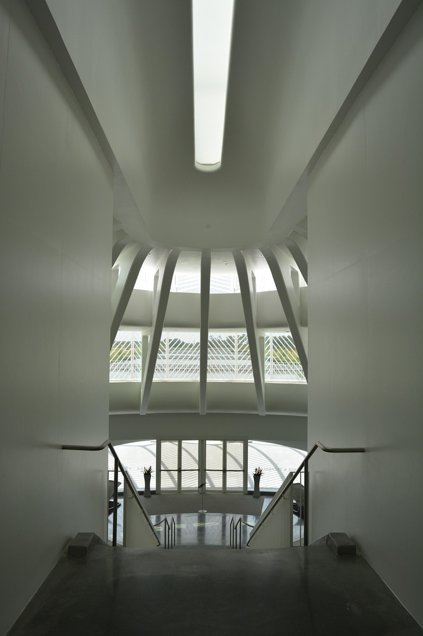 arquitetura, moderna, estrutura, construção, design, perspectiva, universidade, politecnico, calatrava, futurista, minimalista, contemporânea, orgânica, tecnologia, tecnológica, escada, teto, iluminação, concreto, branco, sombra, materiais, material, termina, arcos
