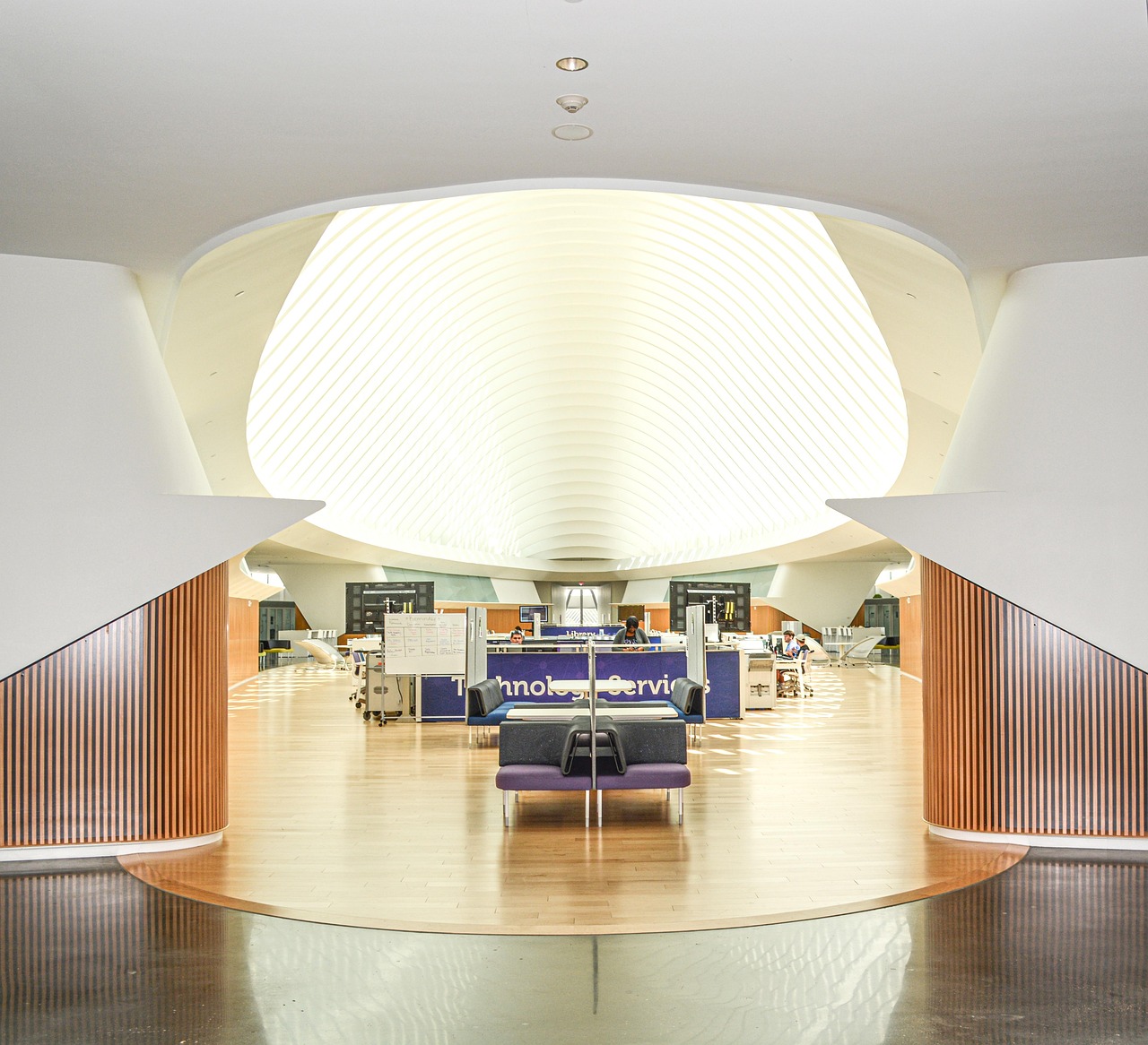 arquitetura, moderna, edifícios, design, perspectiva, universidade, politecnico, calatrava, futurista, minimalista, contemporânea, orgânica, tecnologia, tecnológica, teto, iluminação, dentro, hall, corredor, concreto, branco, madeira, materiais, material