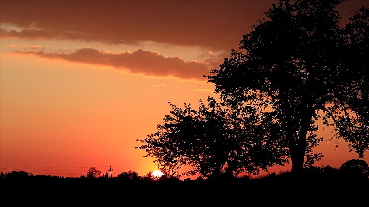 sonnenaufgang, morgenrot, mac-hintergrundbild, kostenlose tapete, hintergrundbild in hd, sonne, morgenstimmung, morgenhimmel, kostenloser hintergrund, schöne tapete, coole hintergründe, hd-hintergrund, morgensonne, rot, 4k-hintergrundbild, windows wallpaper, full-hd-hintergrundbild, wolken, energie, baum, desktop-hintergründe, stimmungsvoll, laptop-hintergrundbild, neuanfang, hintergrund, landschaft, 4k-hintergrundbild 1920x1080, stromleitung, natur, hintergrundbild 4k, obstbäume, horizont