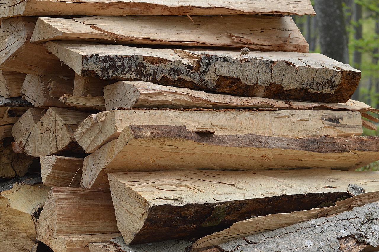 holz, baum, brennholz, holzscheit, baumstamm, stamm, wandern, wald, wurzeln, natur, rinde