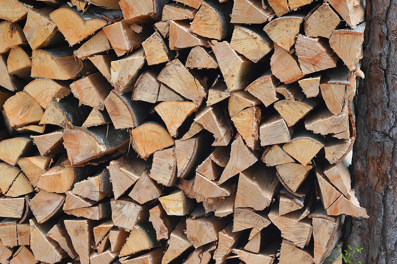 holz, natur, baum, brennholz, holzscheit, baumstamm, stamm, wandern, wald, wurzeln, rinde