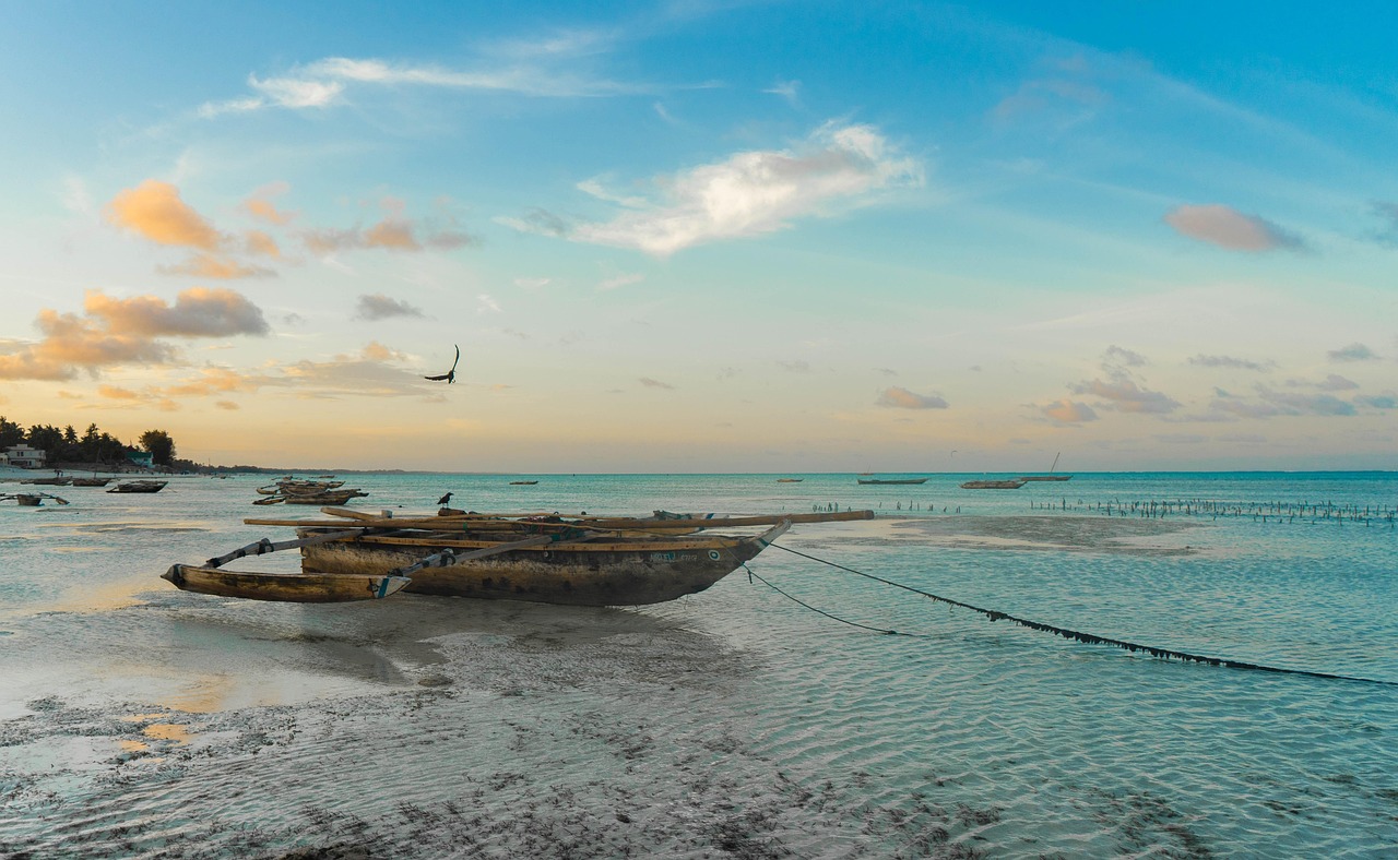 africa, zanzibar, plajă, tanzania, insulă, exotic, apă, soare, natura, nisip, ocean, vară, tropical, mare, africa, africa, africa, africa, africa, zanzibar, zanzibar, zanzibar, zanzibar, zanzibar, tanzania, tanzania, tanzania, exotic, exotic, ocean