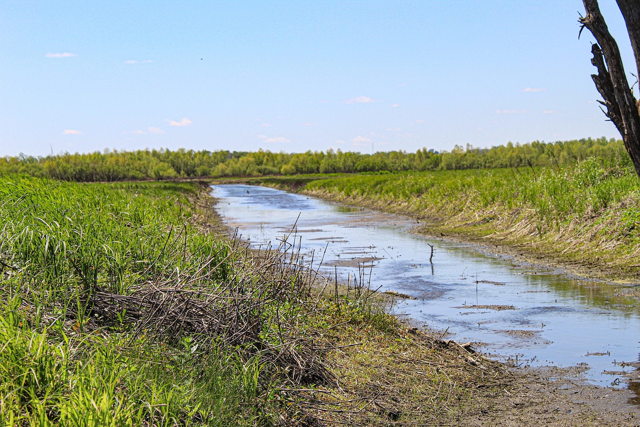 shallow creek, creek, nature, landscape, water, sky