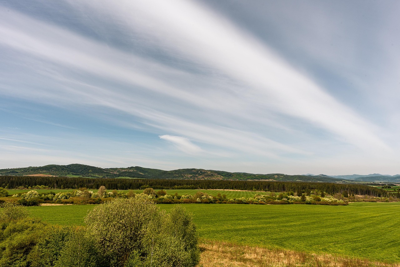 natur, grönska, utanför, träd, gräs, himmelen, skogar, land