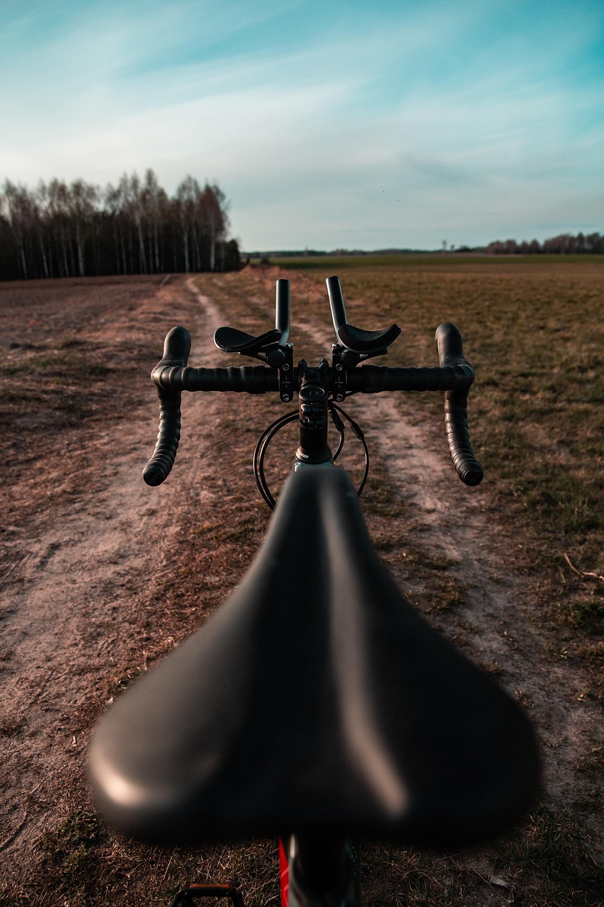 rower, wycieczki, wycieczka, wyprawa, gravel, rower szosowy, przygoda, lato, krajobraz, rowerowych, kolarstwo, podróż, natura, jazda, drogi, wiejska droga, wieś, droga, jesień, wiosna, las, sceniczny, niebo