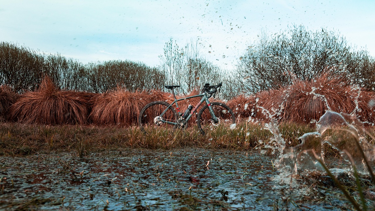 rower, wycieczki, wycieczka, wyprawa, gravel, rower szosowy, przygoda, lato, krajobraz, rowerowych, kolarstwo, podróż, natura, jazda, drogi, trawa, bagno, droga, jesień, wiosna, sport, niebo, staw, drzewa, środowiska