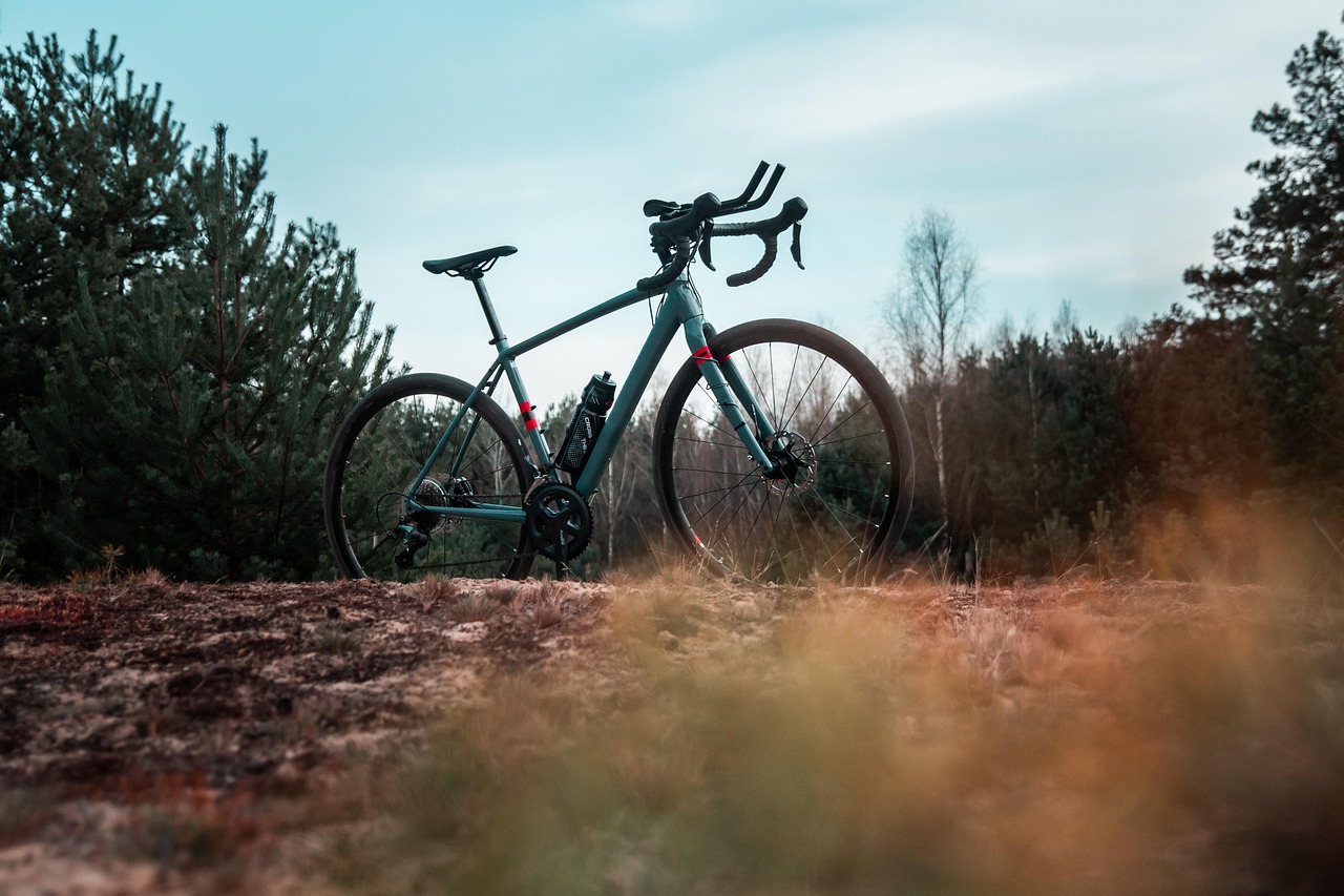 rower, wycieczki, wycieczka, wyprawa, gravel, rower szosowy, przygoda, lato, krajobraz, rowerowych, kolarstwo, podróż, natura, jazda, drogi