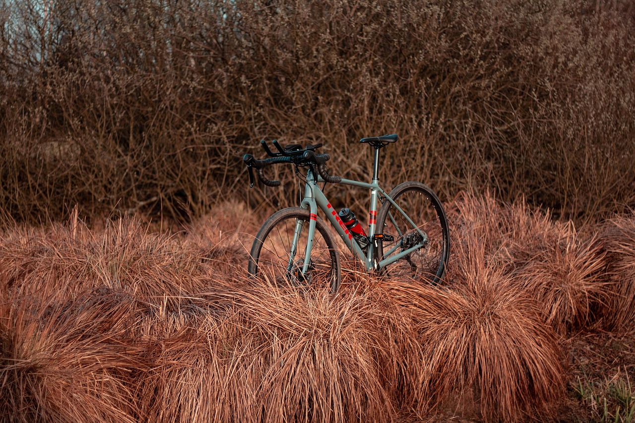 rower, wycieczki, wycieczka, wyprawa, gravel, rower szosowy, przygoda, lato, krajobraz, rowerowych, kolarstwo, podróż, natura, jazda, drogi, trawa, bagno, droga, jesień, wiosna, sport, niebo, staw, drzewa, środowiska