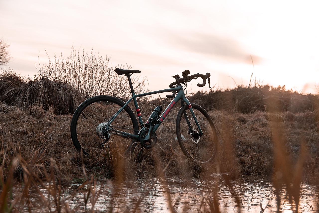 rower, wycieczki, wycieczka, wyprawa, gravel, rower szosowy, przygoda, lato, krajobraz, rowerowych, kolarstwo, podróż, natura, jazda, drogi, trawa, bagno, droga, jesień, wiosna, sport, niebo, staw, drzewa, środowiska