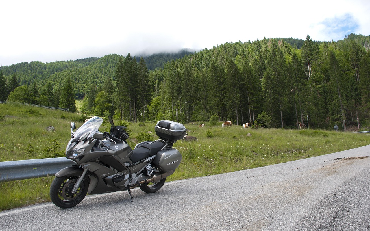 transport, touring bike, yamaha fjr1300, 4-zylinder, benzin, reisen, touren, helm, berge, bergstraßen, panorama, außerhalb, fernblick, weidende kühe, natur, landschaft