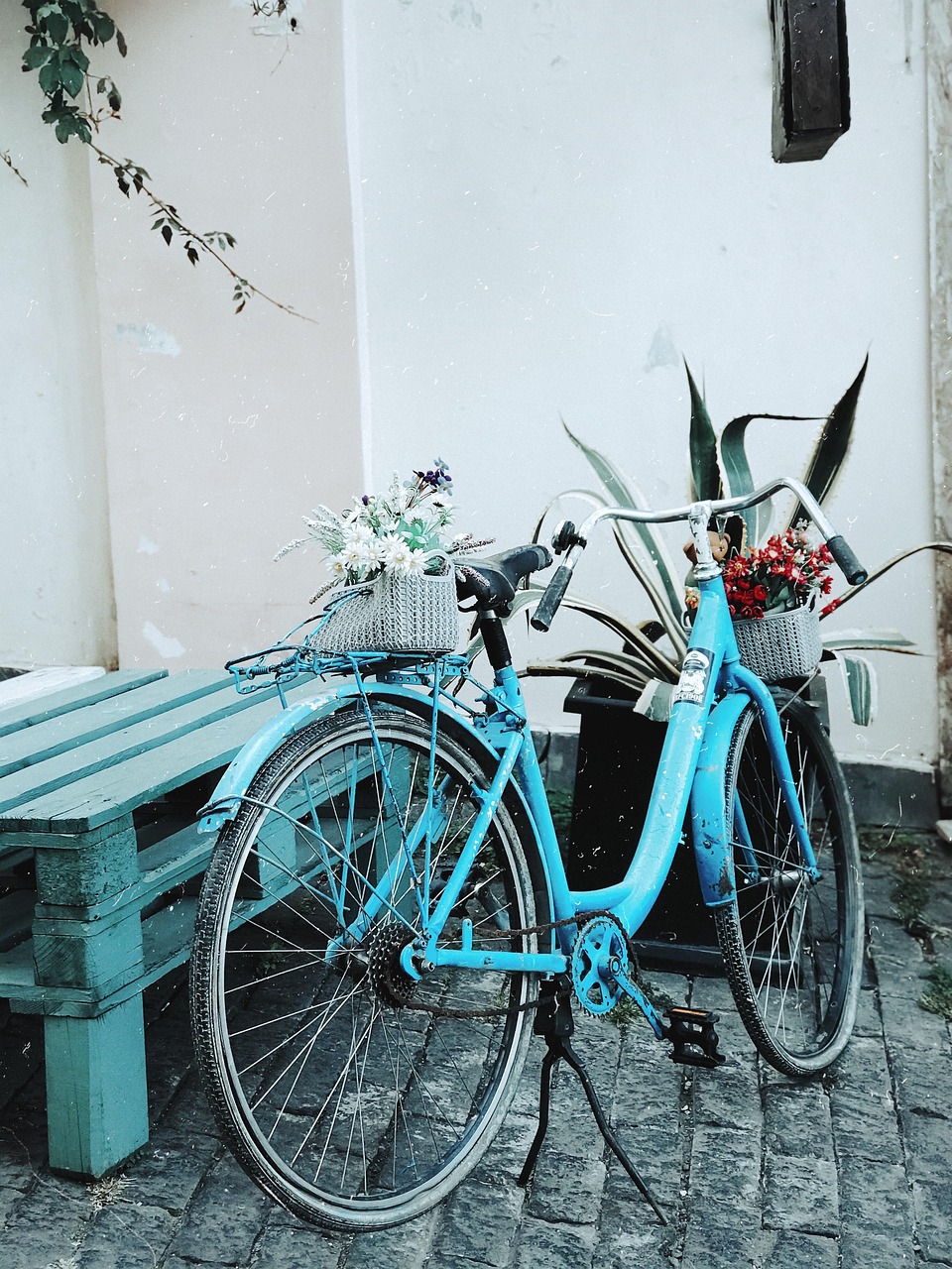 cykel, roligt, cykling, övning, sport, rida, sommar, utomhus, livsstil, fritid, aktivitet, väg, cykla, natur, hjälm, aktiva, hälsosam, kondition, människor, cyklist, ridning, kärlek