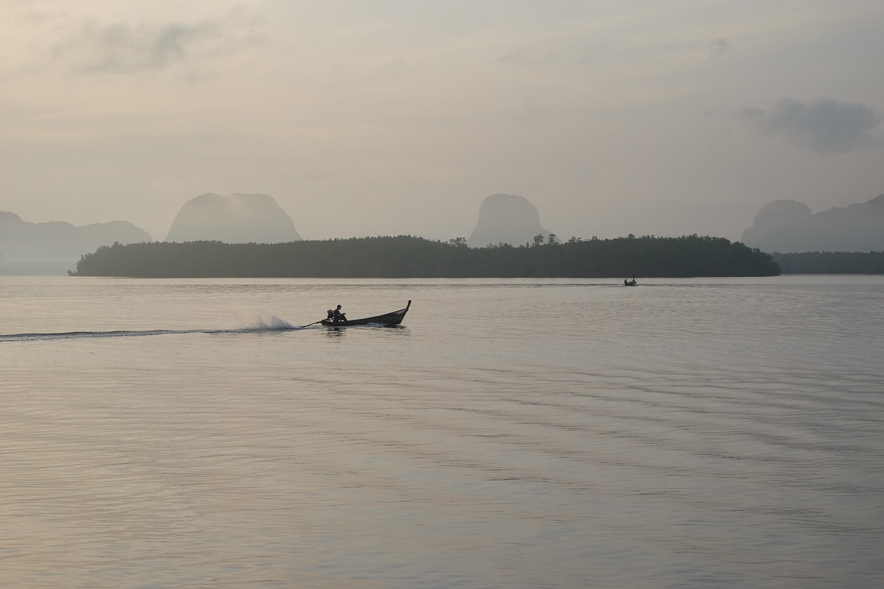 matin, vue, mer, le matin, mettez les voiles, nature, bateau de pêche, brun de pêche, matin brun