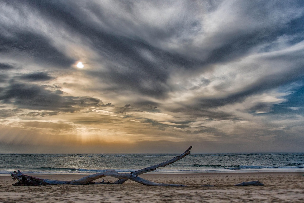 tronco, praia, natureza, paisagem, areia, oceano, paisagens, céu