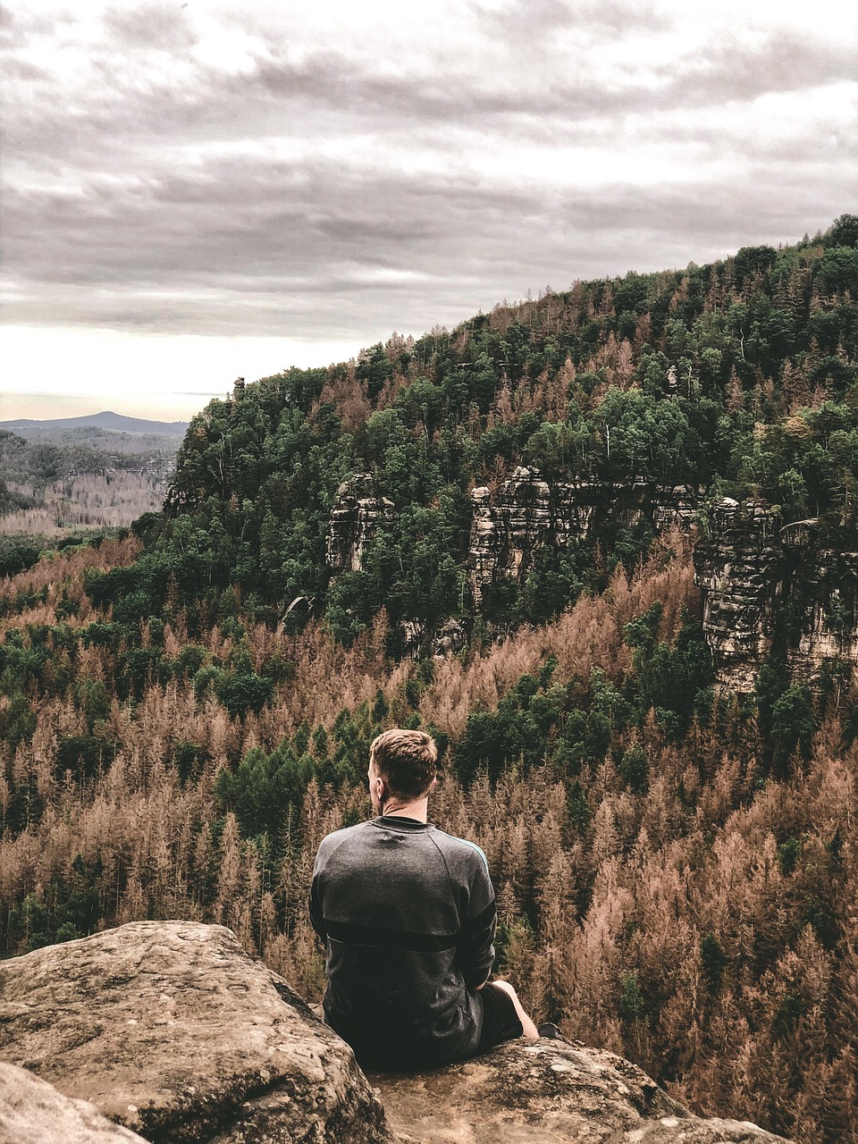 ancient, architecture, magnifique, des arbres, forêt, colline, historique, historical, repère, paysage, la nature, extérieur, en plein air, jupe, ruins, ciel, pierre, avertisseur sonore, suisse saxonne, tourisme, touristique, voyager, arbre, scolyte