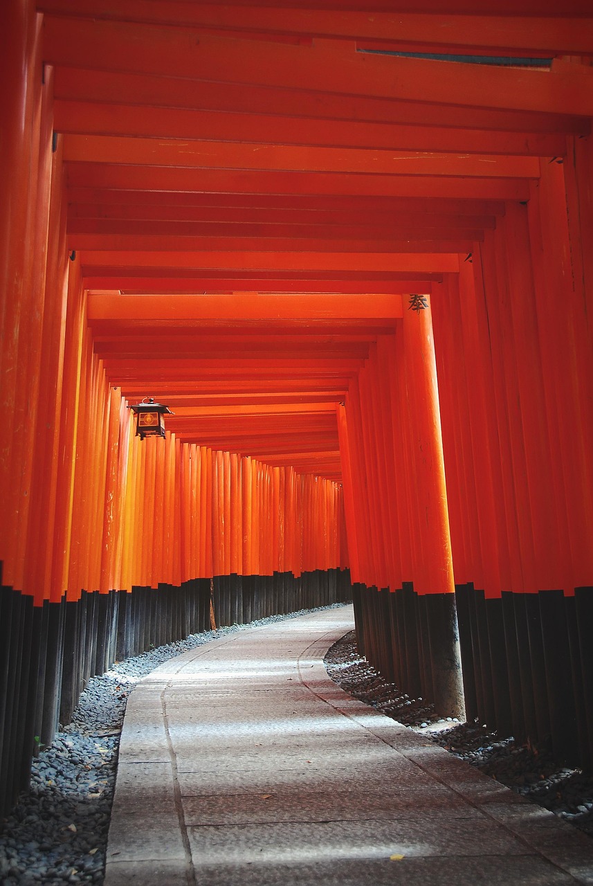 torii, gate, japan, path