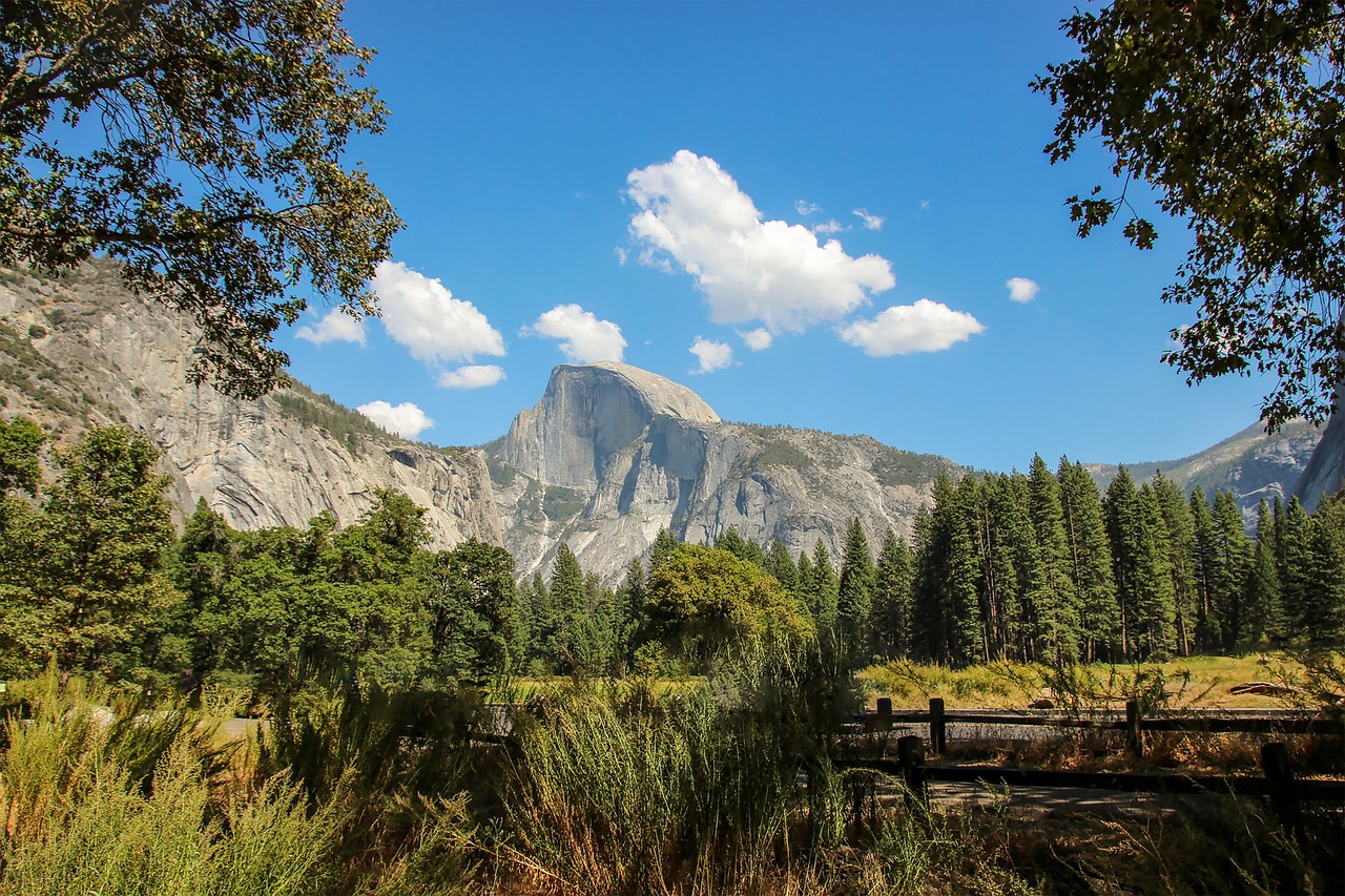 half dome, yosemite, california, usa, nature, landscape, cliff, rock, mountains, valley, mountain, tourism, america, outdoors, trees, landmark, hiking, forest, scenic, half dome, half dome, half dome, half dome, half dome, yosemite, yosemite, yosemite, usa
