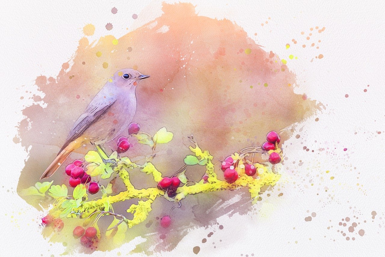 vogel, tier, tierwelt, zweig, beeren, natur, feder, digitale manipulation, fotokunst