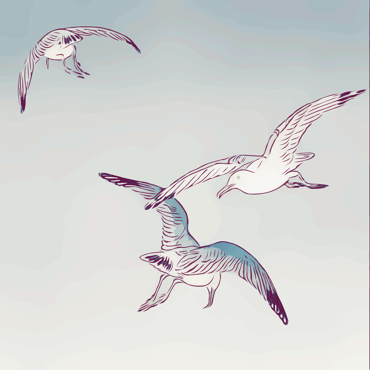 måsar, fåglar, flyg, flygande, natur, vingar, fjädrar