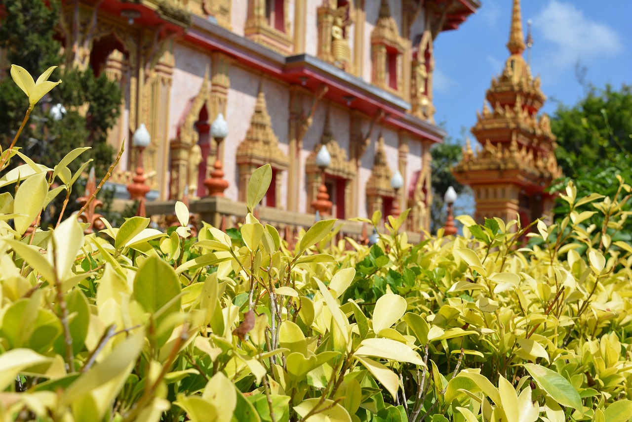 temple, church, cathedral, building, buddhist, thailand, travel, religious, meditation