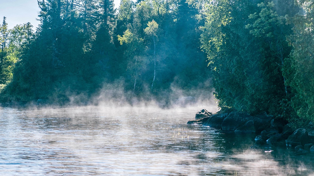 forêt, camping, eau, zahlen, ensoleillé