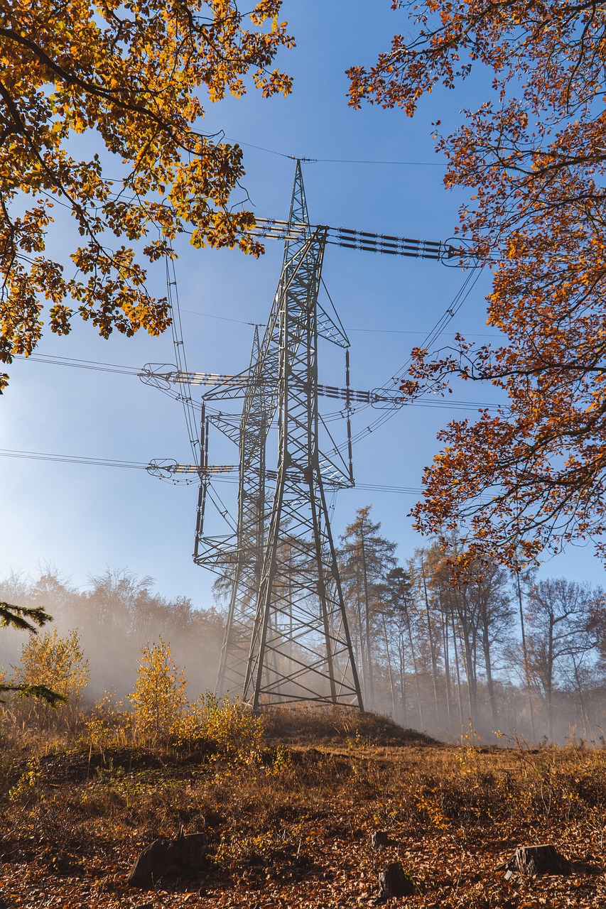power lines, overhead power lines, trees, electricity, tower, transmission tower, structure, wires, power poles, nature, utility poles, electrical wires