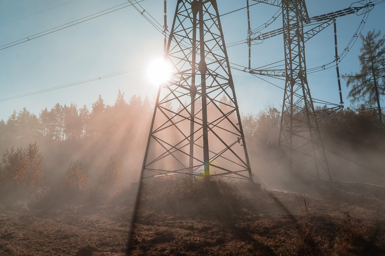 power lines, trees, sun, electricity, overhead power lines, tower, transmission tower, structure, wires, power poles, utility poles, nature, electrical wires