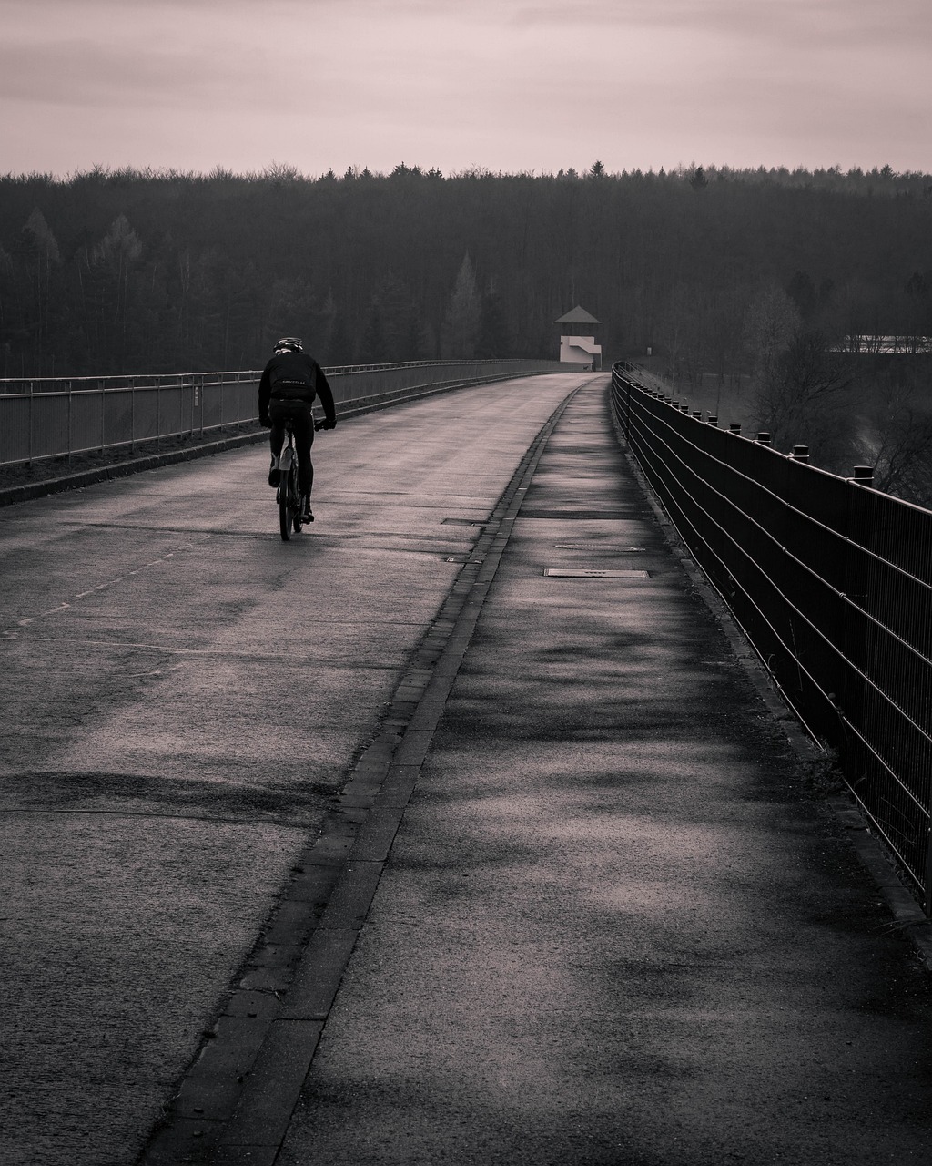 bike, bridge, cyclist, cycling, bicycle, bicycle ride, riding bike, black and white, human, road, exercise, fitness, path, monochrome