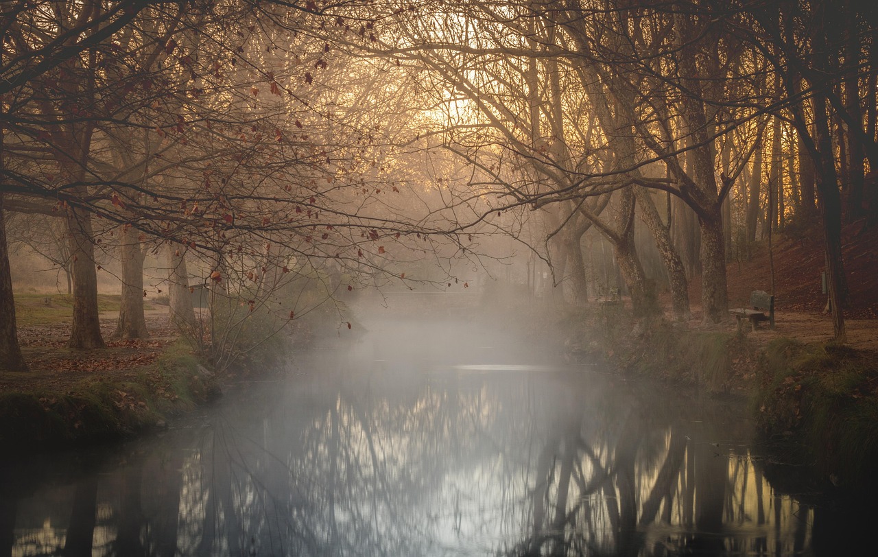 river, windows wallpaper, nature background, wallpaper hd, cool backgrounds, wallpaper 4k, forest, desktop backgrounds, foggy forest, hd wallpaper, foggy woods, landscape, beautiful wallpaper, free wallpaper, scenery, 4k wallpaper, winter, full hd wallpaper, 4k wallpaper 1920x1080, laptop wallpaper, beautiful nature, nature, countryside, foggy, free background, background, wallpaper, nature wallpaper, mac wallpaper, sunrise