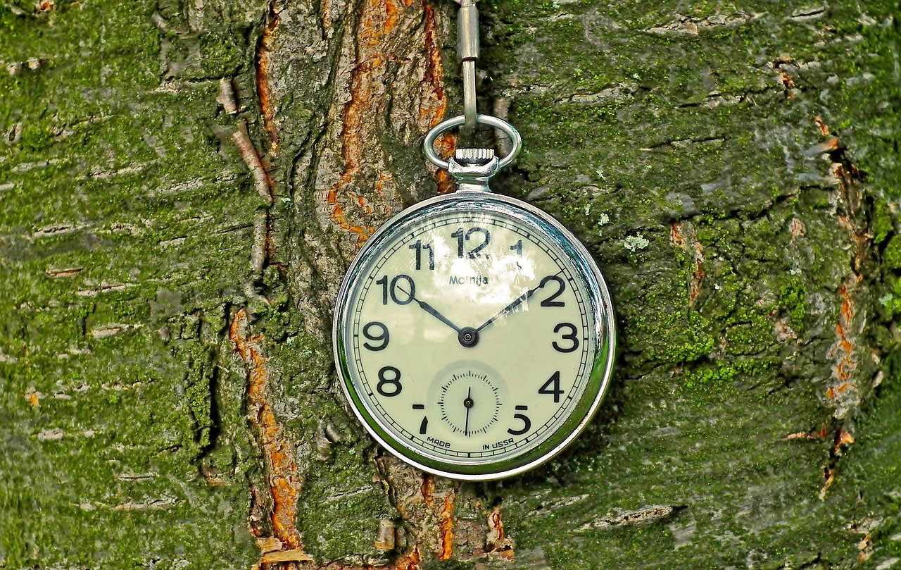 taschenuhr, beobachten, jahrgang, uhr, zeit, nostalgie, alt, retro, nahaufnahme