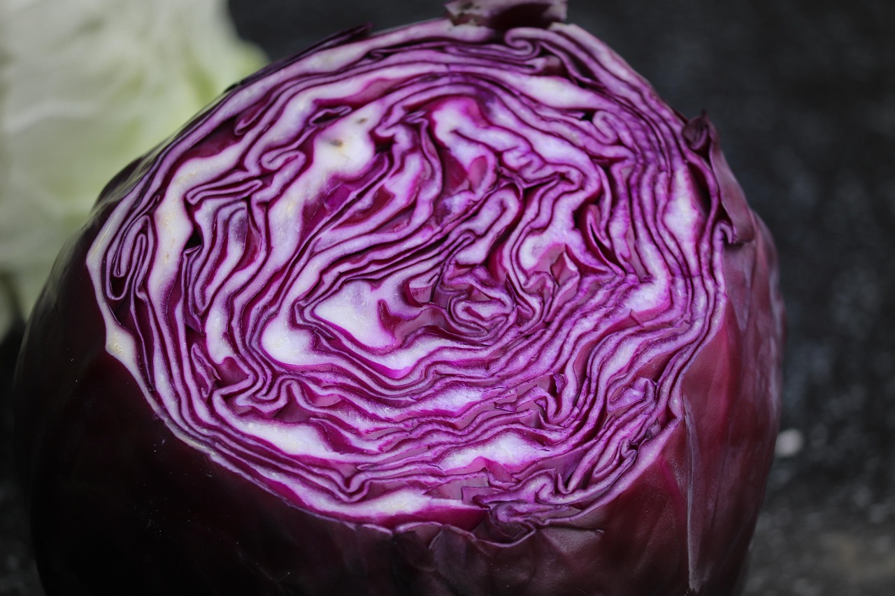 cabbage, red cabbage, cabbage head, nature, vegetables, food, healthy, crop, garden, vegetable growing, nutrition