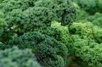 Kale fresh vegetables green vitamins leaves green leaves green vegetables healthy fresh vegetables produce organic