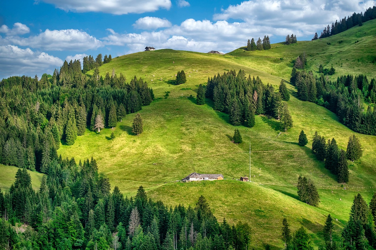 пейзаж, планина, гора, ферма, крави, скъпа, облаци, природата, swiss