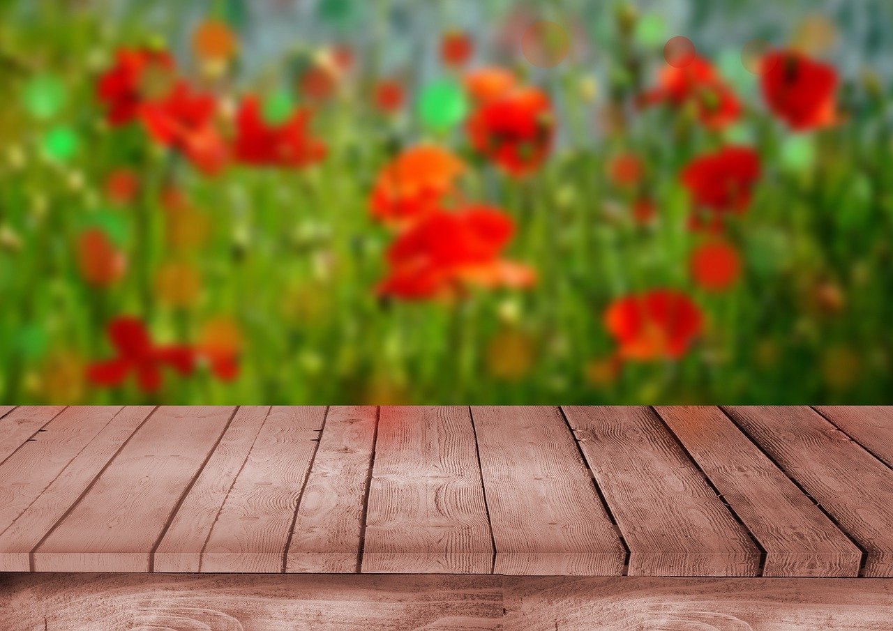 tableros, madera, escenario, tablones, naturaleza, escenario de madera, amapolas, flores, prado de flores, antecedentes