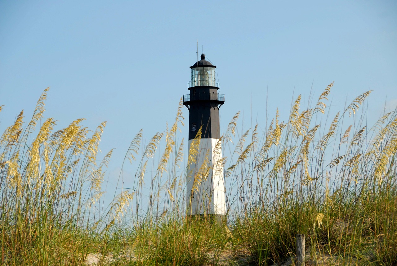 vuurtoren, weide, tybee eiland, georgië, natuur, landschap, kust, mijlpaal