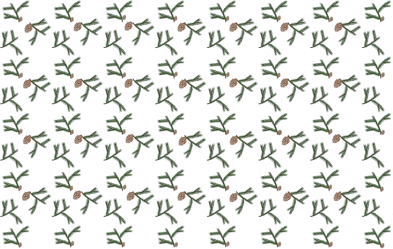 fir cones, christmas, background, pattern, fir branch, fir, conifer, evergreen, branch, decoration, drawing, seamless pattern, design